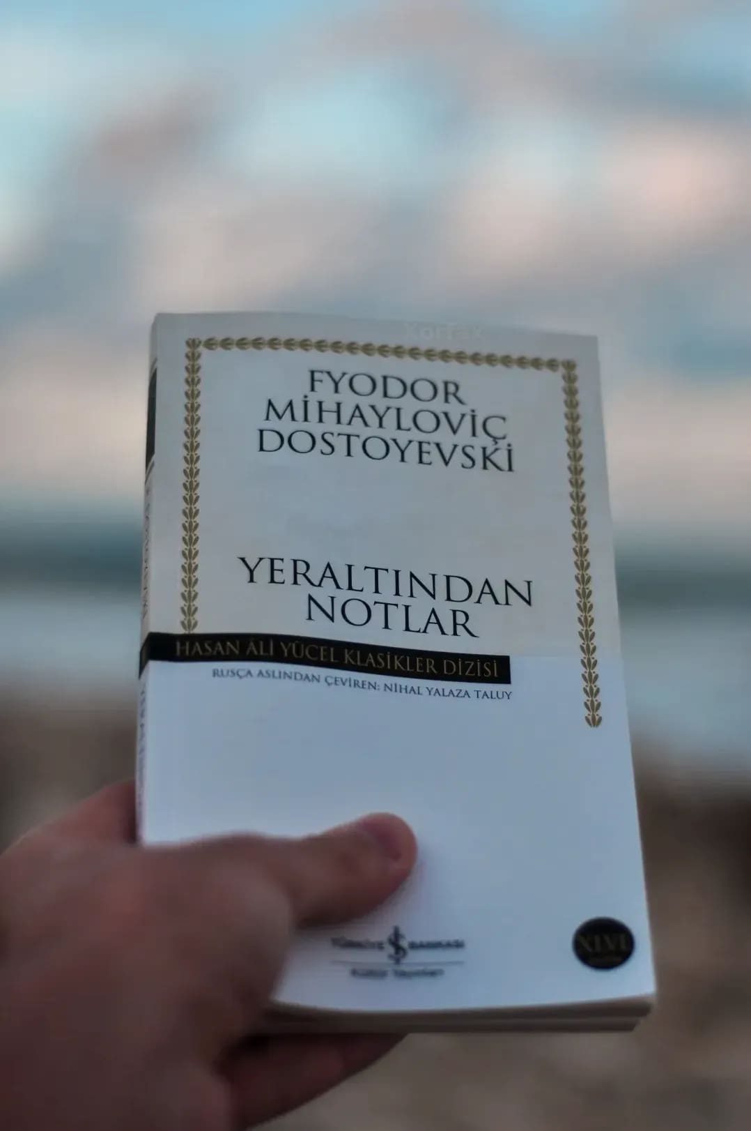 Xorfax 15